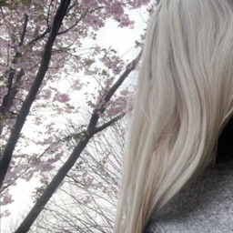 Discovery icon for ৎ asulα 🤍🌸 guilds ˚˖𓍢 icons.social.gaming.anime Discord server